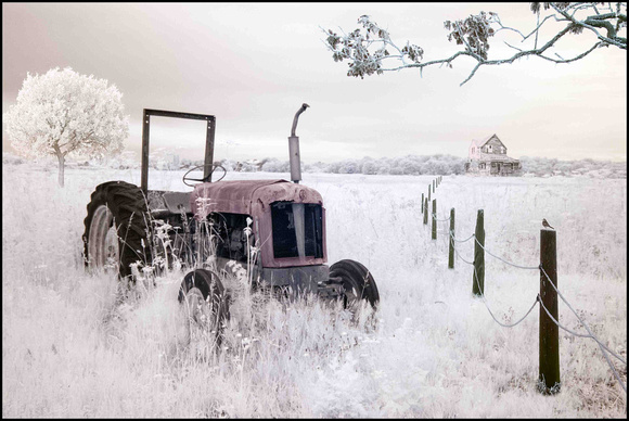 Out to Pasture