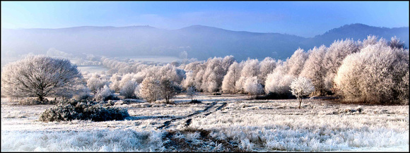 Blue Remembered Hills